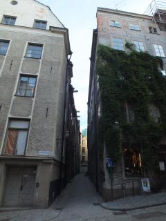 DSCF5776.JPG