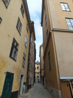 DSCF5641.JPG