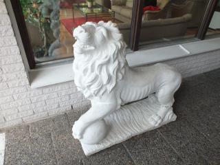 DSCF6328.JPG