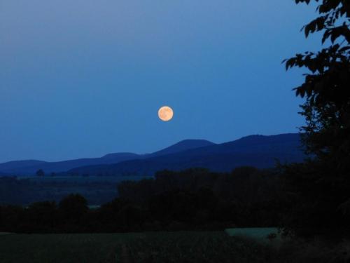 Будапешт 183.jpg