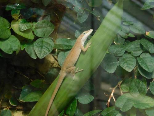 Будапешт 133.jpg