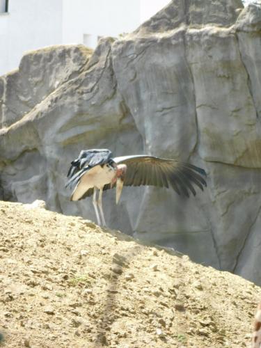 Будапешт 059.jpg