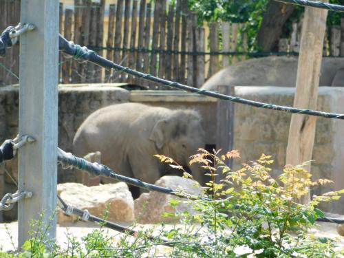 Будапешт 055.jpg