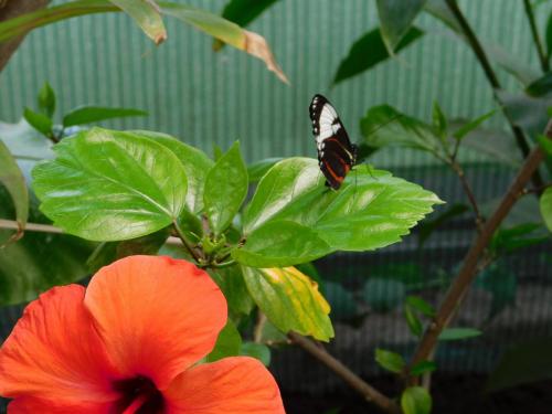 Будапешт 107.jpg