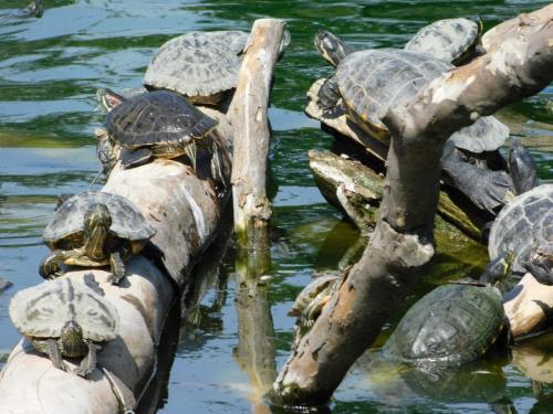 Будапешт 159.jpg