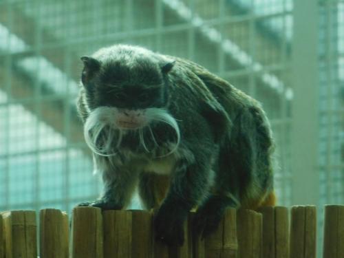 Будапешт 129.jpg