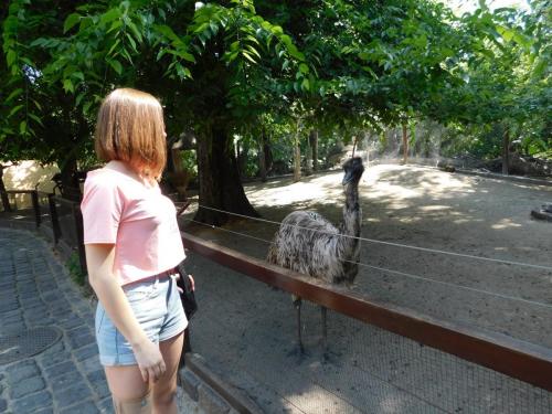 Будапешт 083.jpg