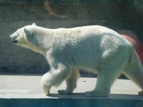 Будапешт 073.jpg