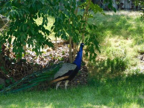 Будапешт 117.jpg