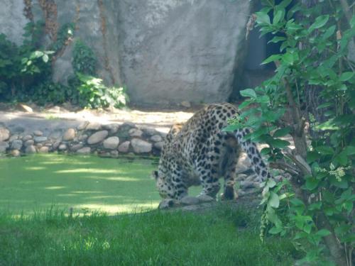 Будапешт 067.jpg