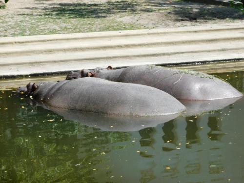 Будапешт 053.jpg