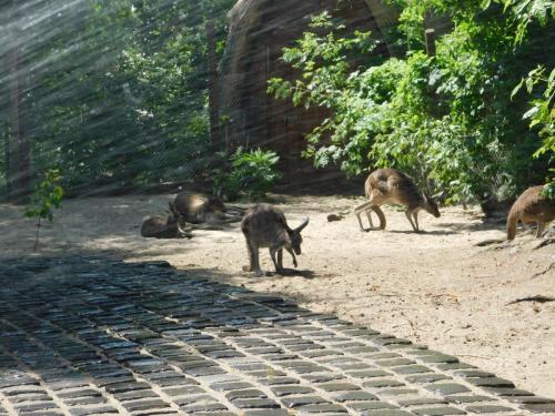 Будапешт 079.jpg