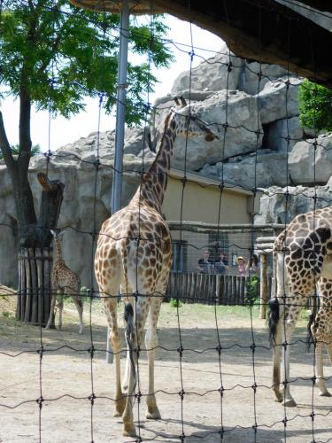 Будапешт 057.jpg