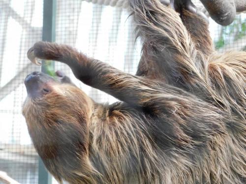 Будапешт 123.jpg