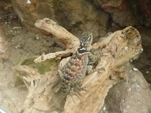 Будапешт 147.jpg