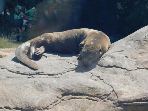 Будапешт 113.jpg