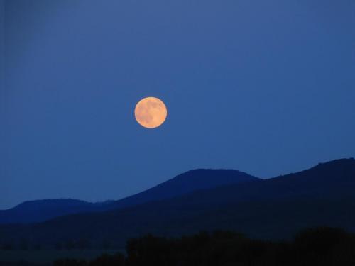 Будапешт 181.jpg