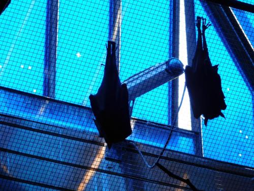 Будапешт 093.jpg