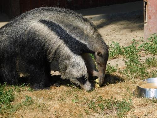 Будапешт 095.jpg