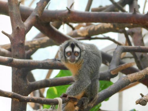 Будапешт 143.jpg