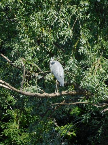 Будапешт 153.jpg