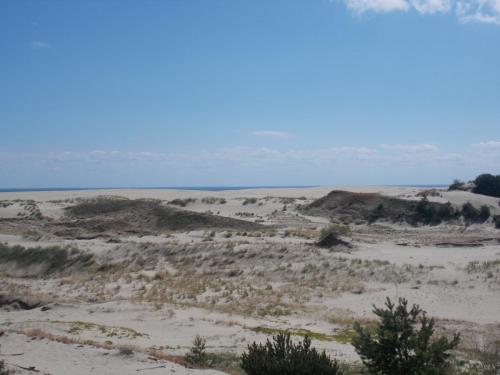 DSCN1605.JPG