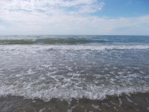 DSCN1646.JPG