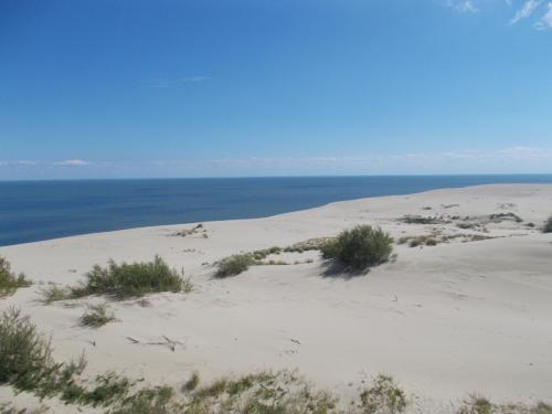 DSCN1628.JPG