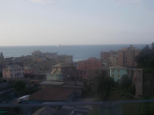 DSCN1001.JPG