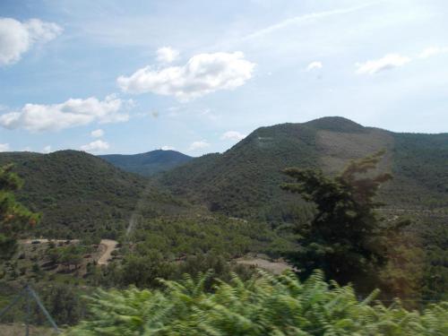 DSCN0773.JPG
