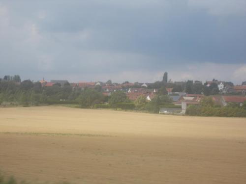 DSCN0550.JPG