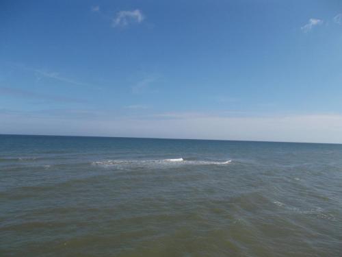 DSCN1662.JPG