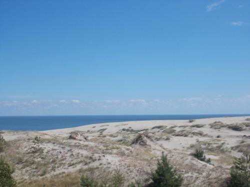 DSCN1607.JPG