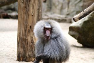 DSC_0989.JPG