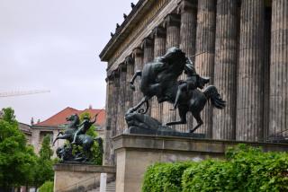 DSC_0533.JPG