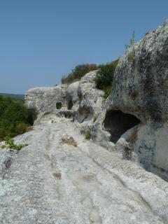 P1020353.jpg