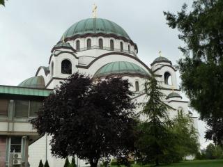 P1110932.jpg
