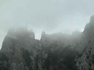 P1010717.jpg
