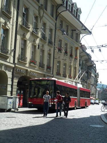 P1070931.jpg