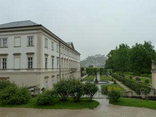 P1100559.jpg