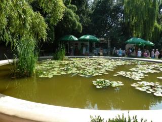 P1020128.jpg