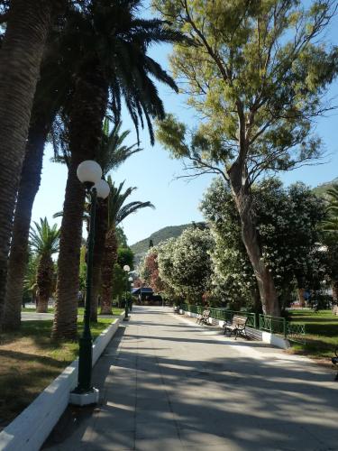 P1120475.jpg