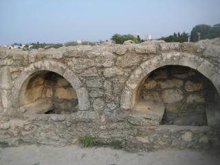IMG_4310.jpg