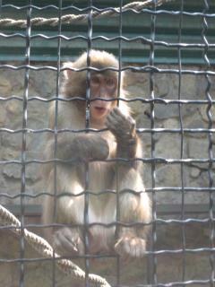 IMG_4476.jpg
