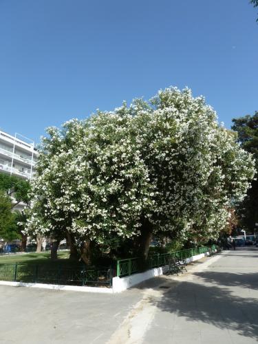 P1120215.jpg
