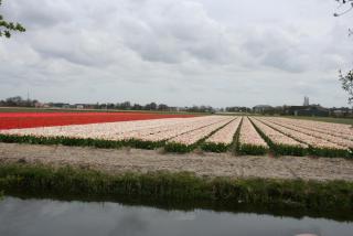 IMG_8854.JPG