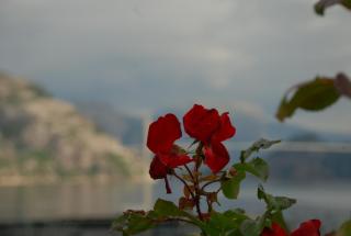 DSC_0961.JPG