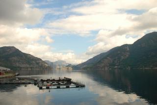 DSC_0908.JPG