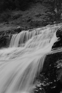 DSC_0195а.jpg