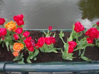 DSC03521.JPG